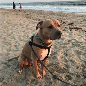 Meet your Posher, Emiko